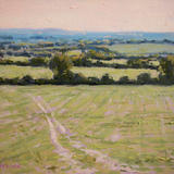 Early Evening Levels