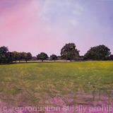 Brockwell Park Evening