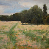 Copse, Brockwell Park, London