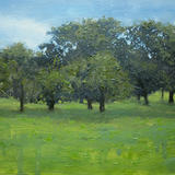 300818 Brockwell Park