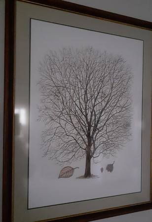 Steve's Beech in Winter