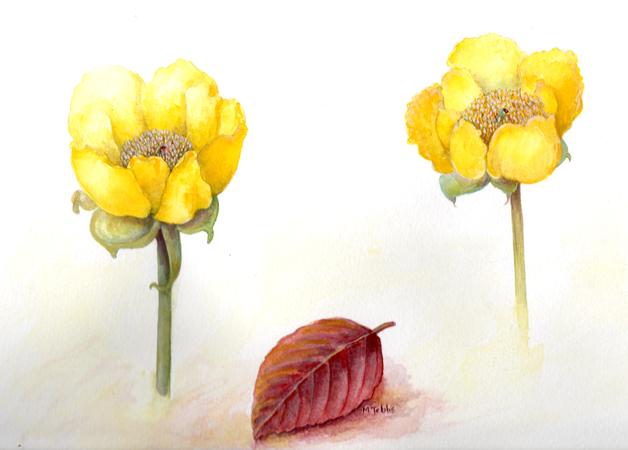 Two Peonies