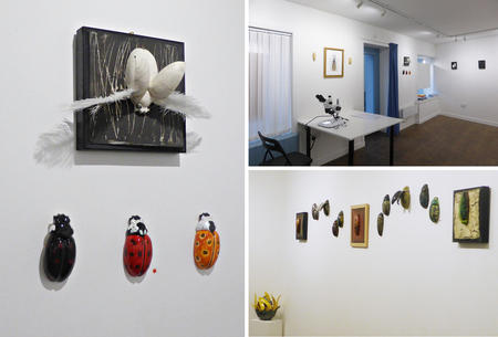 Views from Elaine's exhibition