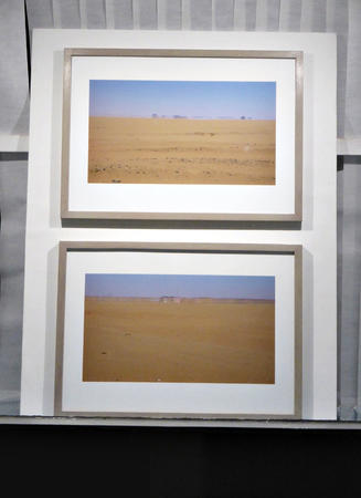 Cary Welling Showcase Window