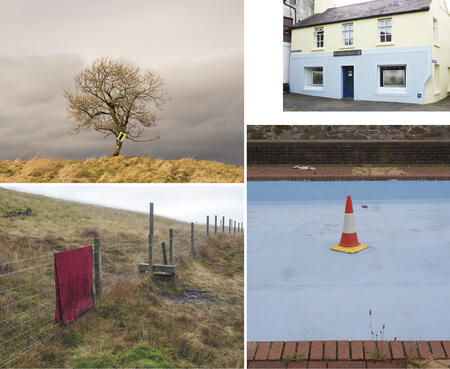 Ian Collins in the windows