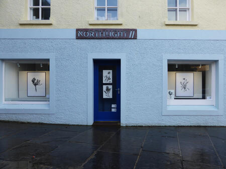 A Conversation with Flowers in the Windows