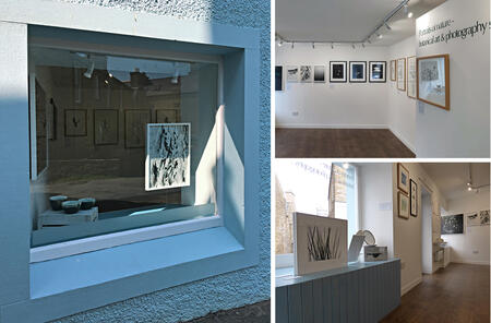 Portraits of Nature exhibition views