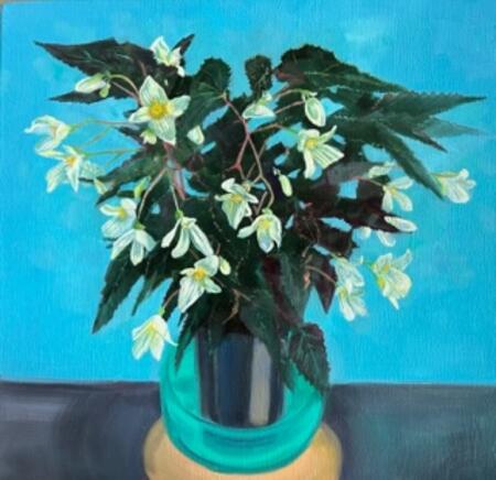 Begonia by Shona Firth