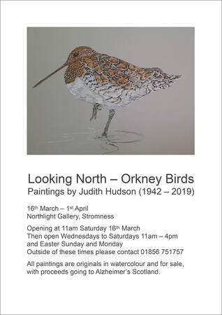Looking North - Orkney Birds poster
