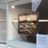 Jackie Ward's windows