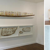 Views of Robinson RR's exhibition