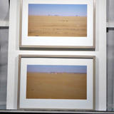 Cary Welling Showcase Window