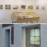 The days never seem the same