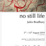 Jules Bradbury  No Still Life