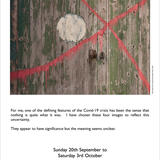 Ian Collins In the Windows