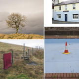 Ian Collins in the windows