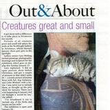 The Orcadian 12/1/17