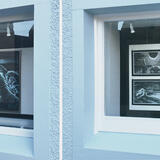 Njuggles by Martin Laird 