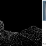 Sea Forms in the windows