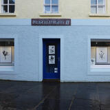 A Conversation with Flowers in the Windows