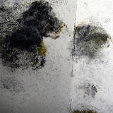 Monoprint by Vicki Redpath-Watson