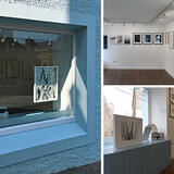 Portraits of Nature exhibition views