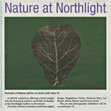 The Orcadian 8.06.23