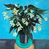 Begonia by Shona Firth