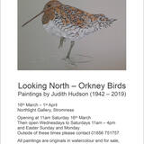 Looking North - Orkney Birds poster