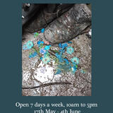 Poster for Vernon Bradley