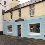 Elephants on the street