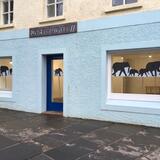 Elephants in Northlight Gallery Windows