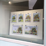 one of Karen's windows