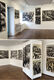 Sylvia Hays charcoal drawings