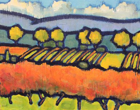 Autumn vines, Minervois