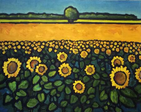 Petit Cormy, sunflowers