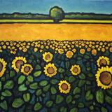 Petit Cormy, sunflowers