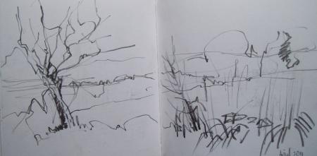 The Downs near Lewes