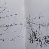 The Downs near Lewes