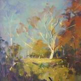 Sheffield Park, Autumn 