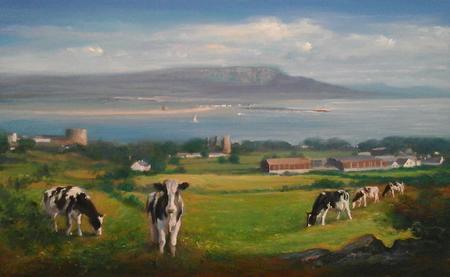 'Holstein Friesian Cows grazing at Greencastle with a view of Magilligan Point across Lough Foyle Estuary.' 