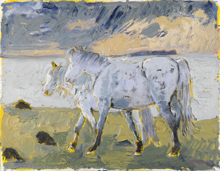 Connemara Ponies Horn Head