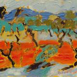 Olive Trees Sardinia