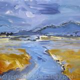 North Donegal Landscape from Boardwalk near Downings