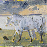 Connemara Ponies Horn Head