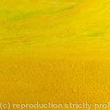 Fields of Yellow