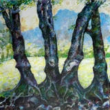 Beeches, Glen Sannox