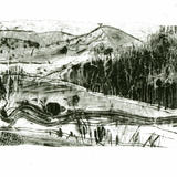 Packaging drypoint - Precipice walk