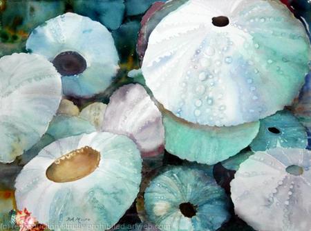 Sea Urchins at Rest