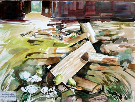 Fire Wood and Queen Ann's Lace